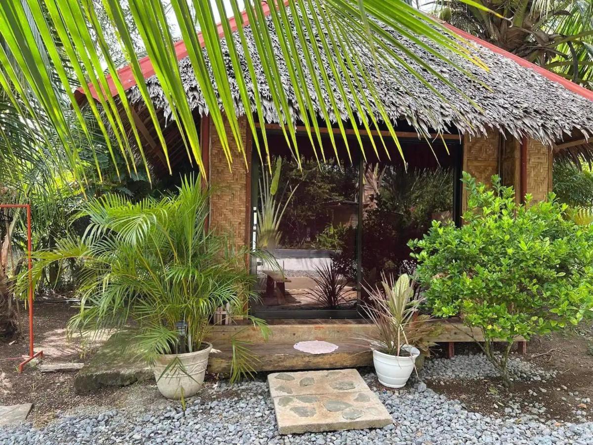 Bohol Island Homestay Dauis Exterior photo