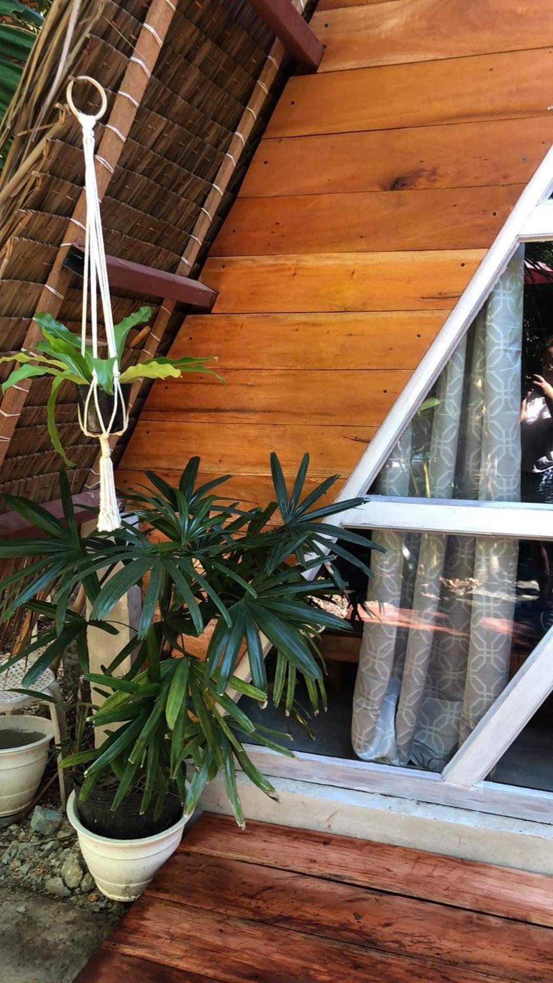 Bohol Island Homestay Dauis Exterior photo